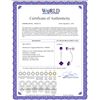 Image 2 : Genuine 4.15 ctw Amethyst Earrings 14KT White Gold - REF-32H2X