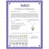 Image 2 : Genuine 0.60 ctw Peridot & Blue Topaz Necklace 14KT White Gold - REF-23P5H