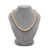 Image 2 : Pink Elite Collection Pearl Necklace, 8.5-9.0mm