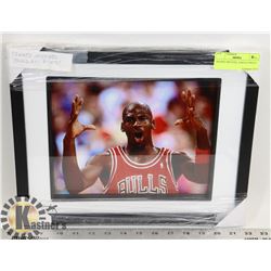 FRAMED MICHAEL JORDAN PHOTO