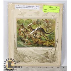 10 COLOURFUL LITHOGRAPHS FROM 1885 + 2 STEEL