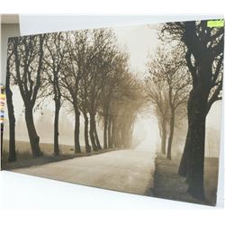 LARGE SHOWOME ART  47" X 31"