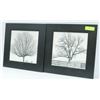 Image 1 : LOT OF 2 SHOWHOME BLACK & WHITE ART PIECES