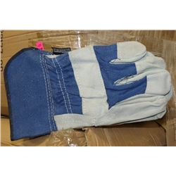 CASE WITH 120 LEATHER WORK GLOVES