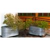 Image 1 : Feed Troth Planters From Outside Threadgill's (4)