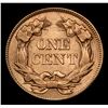 Image 3 : ***Auction Highlight*** 1858 sl Flying Eagle Cent 1c Graded Select+ Unc By USCG (fc)