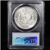 Image 3 : 5 Unc Morgan $1 Graded By PCGS Mixed Dates From The McClaren Collection