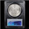 Image 11 : 5 Unc Morgan $1 Graded By PCGS Mixed Dates From The McClaren Collection