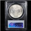 Image 7 : 5 Unc Morgan $1 Graded By PCGS Mixed Dates From The McClaren Collection