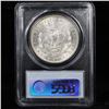 Image 9 : 5 Unc Morgan $1 Graded By PCGS Mixed Dates From The McClaren Collection