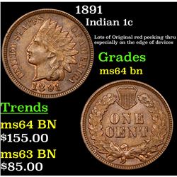 1891 Indian Cent 1c Grades Choice Unc BN