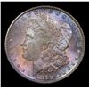 Image 2 : 1879-s Morgan Dollar $1 Grades Select+ Unc