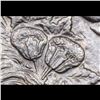 Image 6 : *Highlight OF Entire Auction* 1879-cc /cc Vam 3 Top 100 Morgan Dollar $1 Graded Select+ Unc By USCG 