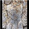 Image 8 : *Highlight OF Entire Auction* 1879-cc /cc Vam 3 Top 100 Morgan Dollar $1 Graded Select+ Unc By USCG 