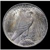 Image 3 : 1923-p vam 1v I3 R6 'Extra Hair' Elite 30 Peace Dollar $1 Grades Choice+ Unc