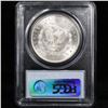 Image 11 : 5 Unc Morgan $1 Graded By PCGS Mixed Dates From The McClaren Collection
