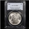 Image 2 : 5 Unc Morgan $1 Graded By PCGS Mixed Dates From The McClaren Collection