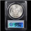 Image 9 : 5 Unc Morgan $1 Graded By PCGS Mixed Dates From The McClaren Collection