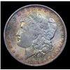 Image 2 : 1884-o Rainbow Toned Morgan Dollar $1 Grades Choice+ Unc