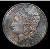 Image 2 : 1884-p Rainbow Toned Morgan Dollar $1 Grades Select+ Unc