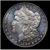 Image 2 : 1886-p Morgan Dollar $1 Grades Select Unc+ DMPL