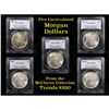 Image 1 : 5 Unc Morgan $1 Graded By PCGS Mixed Dates From The McClaren Collection