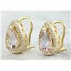 Image 2 : 4.30 CTW Morganite 18K Yellow Gold Diamond Earrings