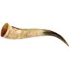 Beautifully Hand Carved "Texicans Unite" Horn. 