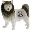 Image 1 : Porcelain Dog with Portrait of Columbus. 1892 