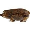 Image 1 : Rare Anna Pottery Delegate Slip Pig Bottle. 