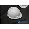 Image 6 : (3) Hard Hats