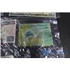 Image 6 : Various Foreign Currency
