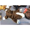 Image 3 : Ty Beanie Babies - Dogs