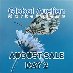 Welcome to Global Auction Marketplace (Test Lot)