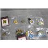 Image 6 : Assorted Pin Collection