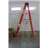 Image 4 : Featherlite 6 Ft Step Ladder