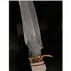Image 3 : Damascus Knife