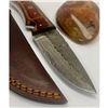 Image 1 : 8 1/2" Inlaid Wood Handle Damascus Hunting Knife With Stitched Leather Sheath