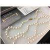 Image 2 : 9..8mm Freshwater Pearl Necklace Gold Clasp