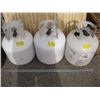 Image 1 : 3 - 20 LB PROPANE TANK (1 IN DATE)