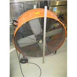 LARGE ORANGE FAN