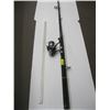 Image 1 : 10' FISHING ROD WITH DAIWA 5000-BI SPINNING REEL