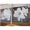 Image 1 : 2 WHITE FLOWER PHOTOGRAPHS BY GABAR