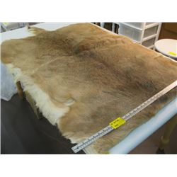 TANNED DEER HIDE