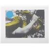 Image 1 : John Baldessari Untitled (Snake), ed 95