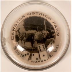 Cawston Ostrich Farm Vintage Glass Advertising Dice Game / Paperweight  (120055)