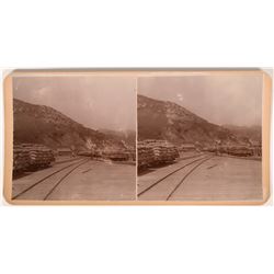 Stereoview Photo of Tulare, California  (118005)