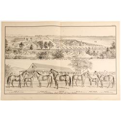 Lithograph: Stock Farm of Theo. Winters  (81322)