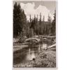 Image 1 : Landscape Real Photo Postcard of Warm Lake, Idaho  (117811)