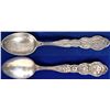 Image 1 : Beautifully Engraved Rhyolite, Nevada (Montgomery Shoshone) Souvenir Spoon  (112051)